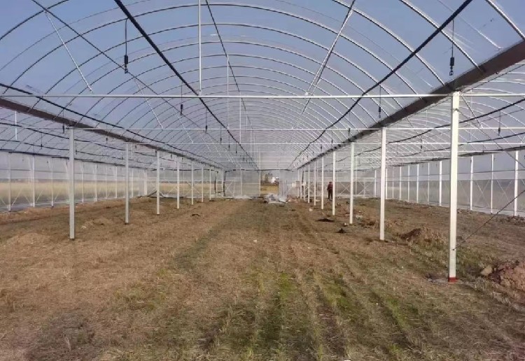 玻璃温室建造全解析:从选材到施工,打造高效现代农业设施